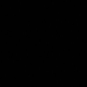 Meet your Posher, Cinthia